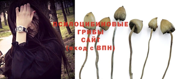 Альфа ПВП Россошь