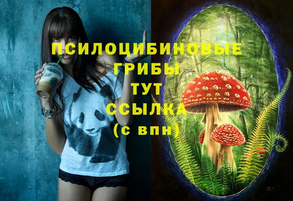 Альфа ПВП Россошь