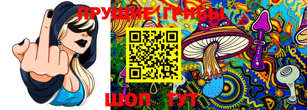 Туймазы  Галлюциногенные грибы Cubensis  Вход с VPN  Псилоцибиновые грибы мухоморы 