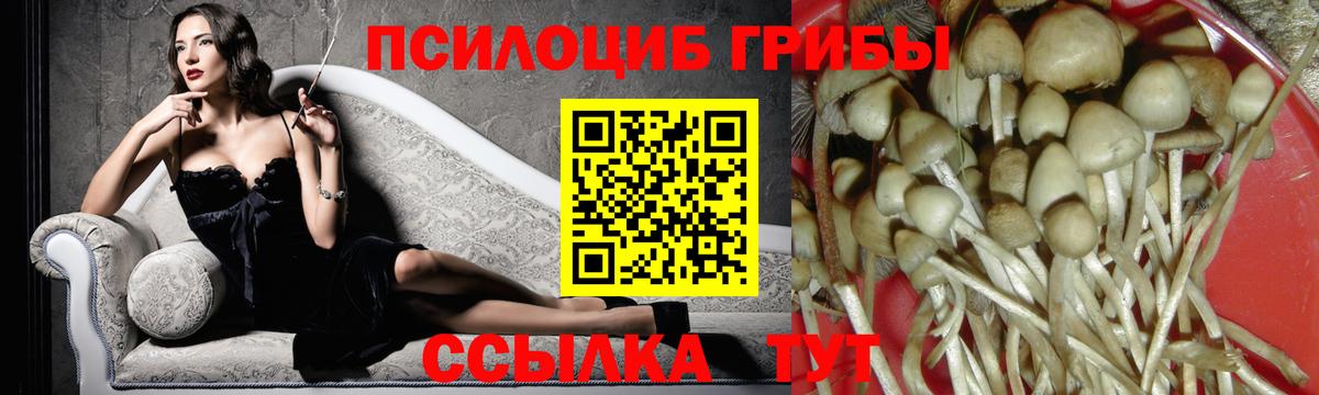 Галлюциногенные грибы Psilocybine cubensis Туймазы